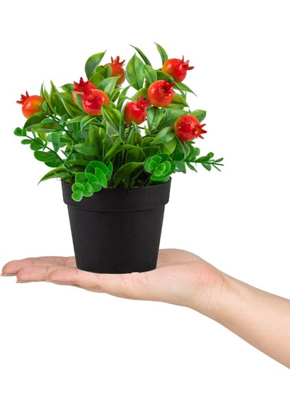 3’lü Set Siyah Mini Plastik Saksıda Yapay Mandalina, Kokina ve Nar Çiçeği fırsatları