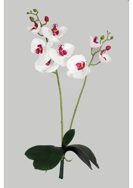Yapraklı 3D Lüx 2li Islak Orkide Dalı 55 cm Beyaz-Fuşya