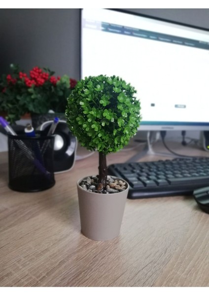 Doğal Taşlı Mini Top Ağaç Yapay Çiçek fiyatları