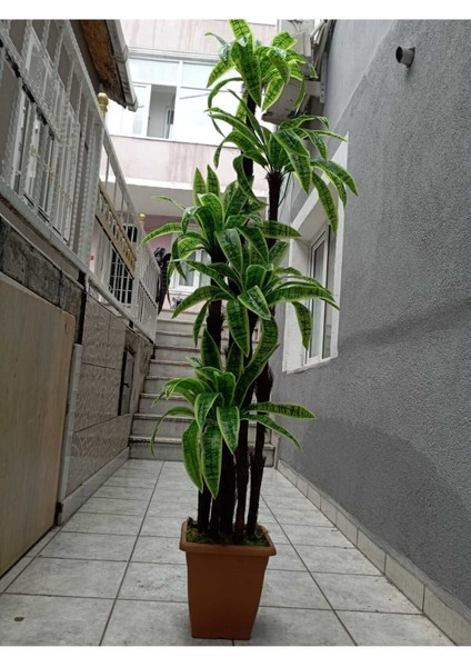Yukka Dracenea Palmiye 195 cm 90 Yaprak Büyük Boy Ev ve Ofis Için Yapay Ağaç