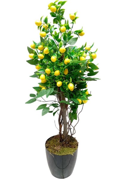 Limon Ağacı Doğal Görünümlü Çalılı Lüks Yapay Ağaç 90 cm .