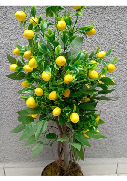 Limon Ağacı Doğal Görünümlü Çalılı Lüks Yapay Ağaç 90 cm . indirimleri