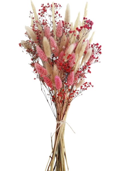 Kuru Çiçek Pamuk Otu, Kuş Otu, Cipso Aranjman Süslük, Vazoluk, Hediyelik fiyatları