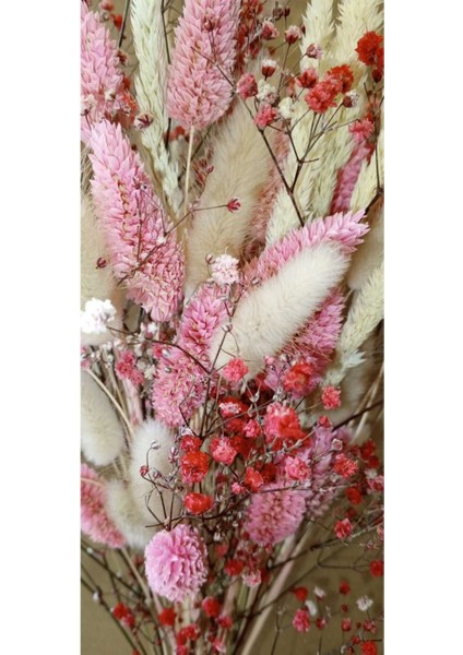 Kuru Çiçek Pamuk Otu, Kuş Otu, Cipso Aranjman Süslük, Vazoluk, Hediyelik modelleri