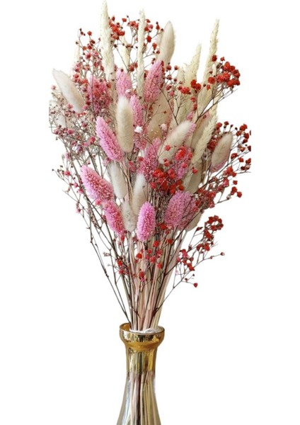 Kuru Çiçek Pamuk Otu, Kuş Otu, Cipso Aranjman Süslük, Vazoluk, Hediyelik fırsatları