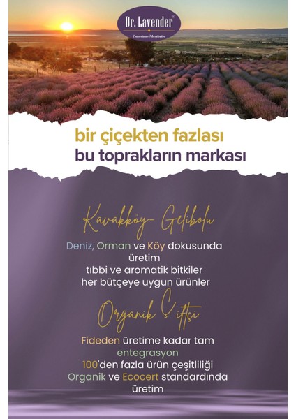Dr. Kurutulmuş Lavanta Çiçeği 100 Gr. 3 x 100 gr 3'lü Lavanta Çiçeği