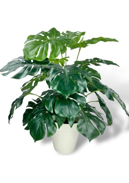 Yapay Çiçek Krem Saksıda Monstera Deve Tabanı Yeşil Doğal Dokulu 18DAL 50 cm Salon Çiçeği Yapay Bitk