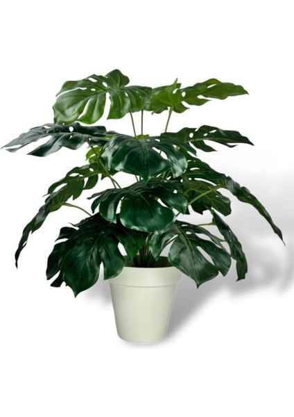 Yapay Çiçek Krem Saksıda Monstera Deve Tabanı Yeşil Doğal Dokulu 18DAL 50 cm Salon Çiçeği Yapay Bitk