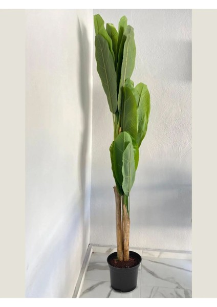 160 cm 3 Gövdeli Yapay Ağaç Muz Ağacı Yapay Starliçe 160 cm 3 Gövdeli fırsatları