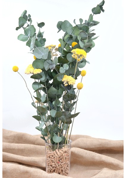 Şoklanmış Okaliptus, Şemsiye Otu ve Craspedia Aranjman fiyatları