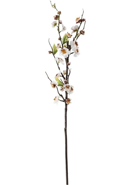Şeftali Çiçeği Beyaz 80 cm