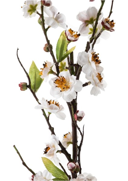 Şeftali Çiçeği Beyaz 80 cm fiyatları