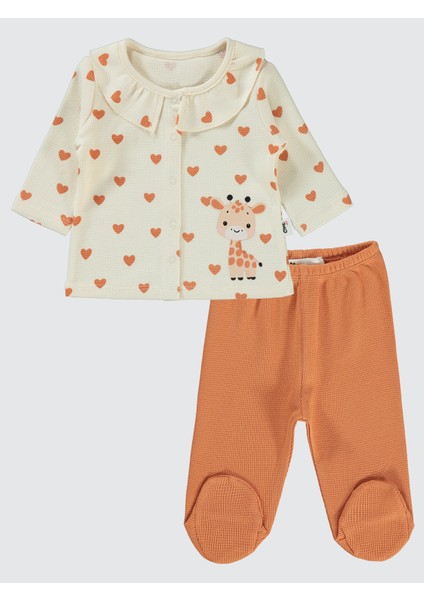 Kız Bebek Pijama Takımı 1-6 Ay Fildişi