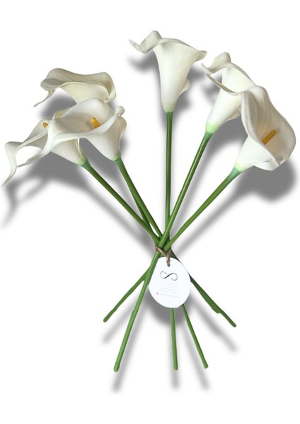 Yapay Çiçek Islak Dokulu Beyaz Gala Çiçeği 6 Dal