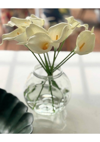 Yapay Çiçek Islak Dokulu Beyaz Gala Çiçeği 6 Dal modelleri