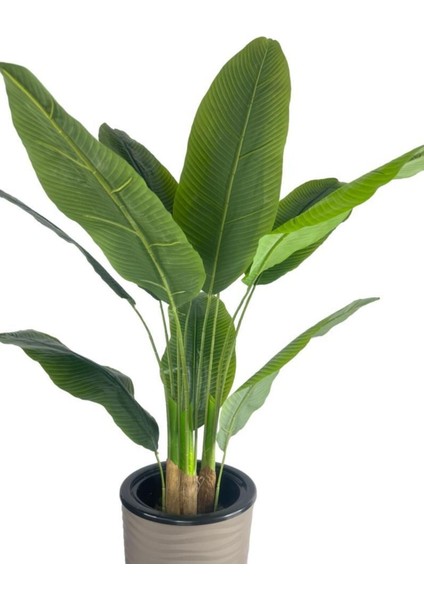 Yapay Starliçe Muz Ağacı Dore Kumsal Vazoda Muz Ağacı Yapay Starliçe 150 cm 12 Yaprak modelleri