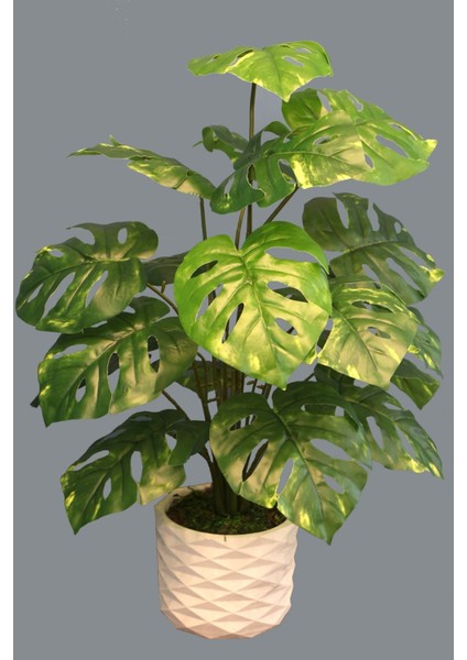 Yapay 18 Dallı Lüx Monstera Osa Maymun Maskeli Deve Tabanı