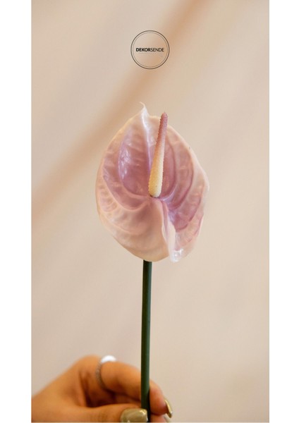 Yapay Antoryum Çiçeği Canlı Dokunuş Lila 40 cm