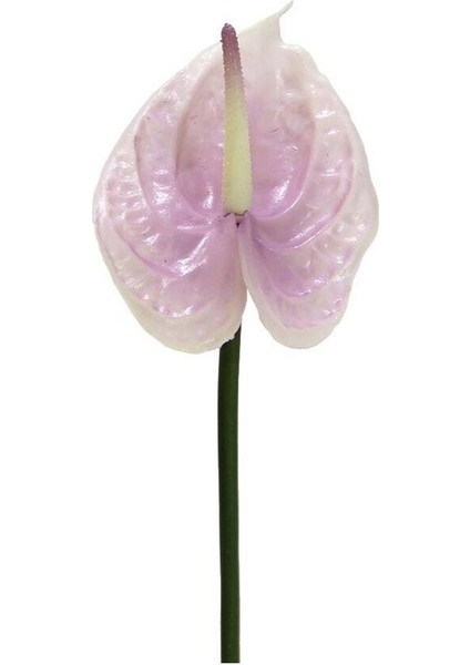 Yapay Antoryum Çiçeği Canlı Dokunuş Lila 40 cm modelleri