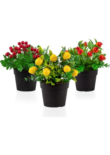 3’lü Set Siyah Mini Plastik Saksıda Yapay Kokina, Limon ve Nar Çiçeği