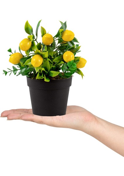 3’lü Set Siyah Mini Plastik Saksıda Yapay Kokina, Limon ve Nar Çiçeği modelleri