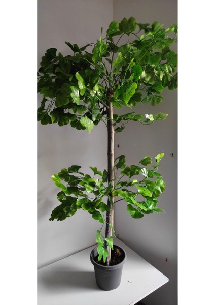 Rüzgar Çiçekcilik 150 cm Sakura Ağacı