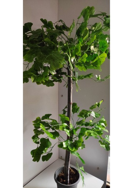 Rüzgar Çiçekcilik 150 cm Sakura Ağacı fiyatları