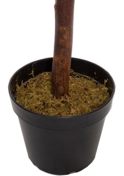Yapay Zeytin Ağacı 120 cm Tek Gövdeli Doğal Gerçek Görünümlü Yapay Ağaç