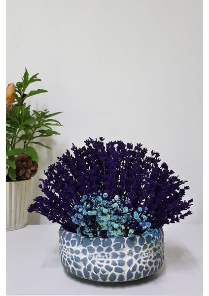 Gül Saksıda Lavanta ve Cipso & Hediye Lavanta Tasarımı & Dekoratif Kuru Çiçek Dekor & 16-18 cm fırsatları