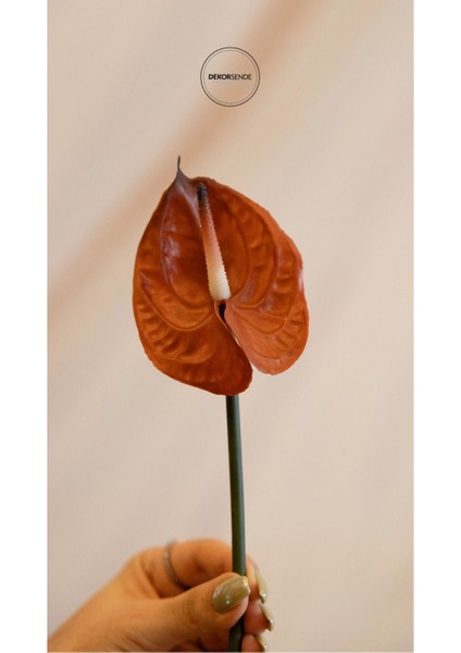 Yapay Antoryum Çiçeği Canlı Dokunuş Kahverengi 40 cm