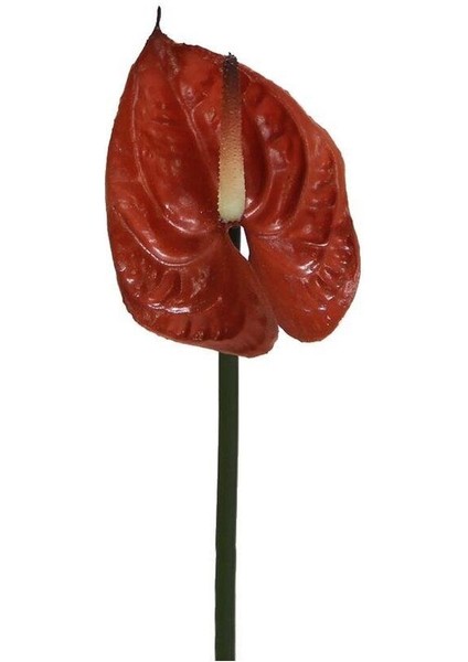 Yapay Antoryum Çiçeği Canlı Dokunuş Kahverengi 40 cm modelleri
