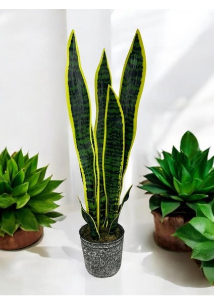 Yapay Çiçek Saksılı Yeşil Kılıç Çiçeği 68 cm Salon Çiçeği Gri Seramik Saksılı Yapay Bitki fiyatları