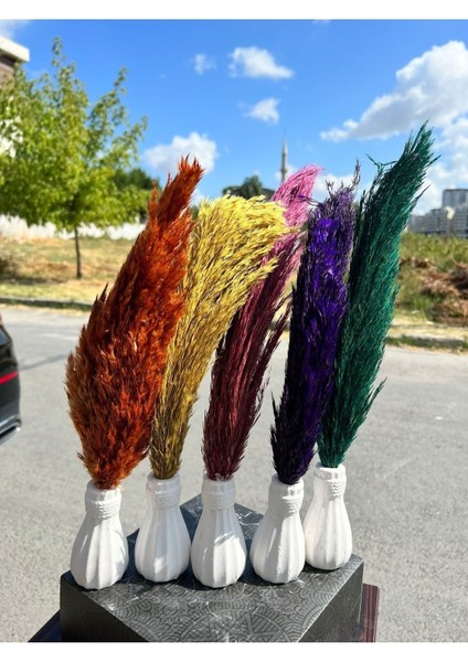 6 Adet Pampas Vazolu Dekor Çiçek