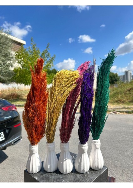 6 Adet Pampas Vazolu Dekor Çiçek fiyatları