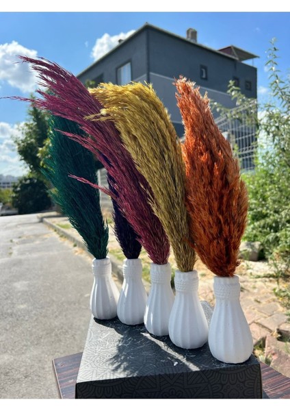 6 Adet Pampas Vazolu Dekor Çiçek modelleri