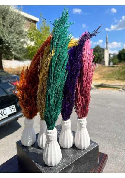 6 Adet Pampas Vazolu Dekor Çiçek fırsatları