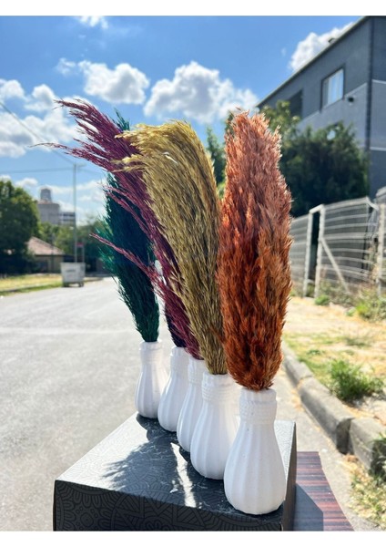 6 Adet Pampas Vazolu Dekor Çiçek indirimleri