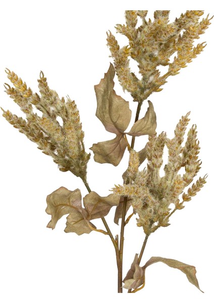 Yapay Çiçekli Bitki Pampas Yeşil 90 cm .