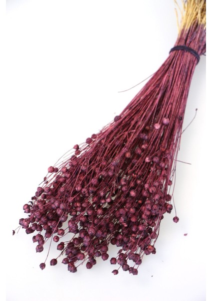 Kuru Çiçek Luna (Keten) Otu 60GR Mürdüm-Kahve