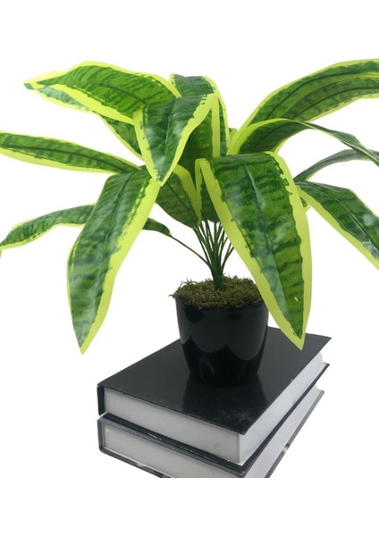 Yapay Çiçek Masengena Sansevieria 12 Dal 40*50 cm Salon Çiçeği Plastik Siyah Saksılı Yapay Bitki