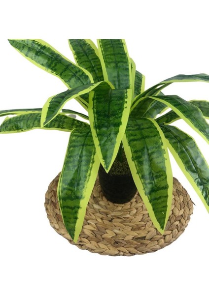 Yapay Çiçek Masengena Sansevieria 12 Dal 40*50 cm Salon Çiçeği Plastik Siyah Saksılı Yapay Bitki