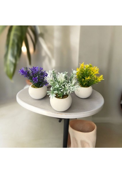 Mini Beton Saksı 3'lü Set Gerçek Yosunlu Yapay Çiçek Aranjman Yeni Bahar Hediyelik Paket Saksı fiyatları