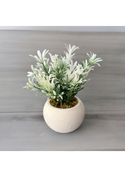 Mini Beton Saksı 3'lü Set Gerçek Yosunlu Yapay Çiçek Aranjman Yeni Bahar Hediyelik Paket Saksı indirimleri