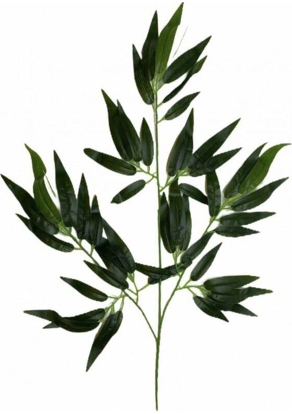 Bambu Yaprağı