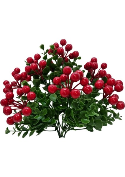 Yapay Kokina Demeti fiyatları