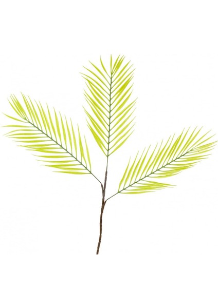 Palmiye Dalı 68 cm