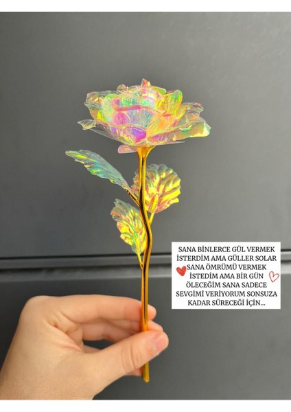 Sonsuzluk Gülü Hediyelik Gül - Ev Dekor - Sevgiliye Hediye-Solmayan Gül 14 Şubat Sevgililer Günü