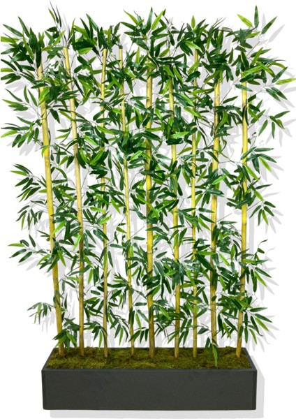 Bambu Seperatör 200 cm 9 Adet Bambu 100 cm Antrasit Saksı fiyatları