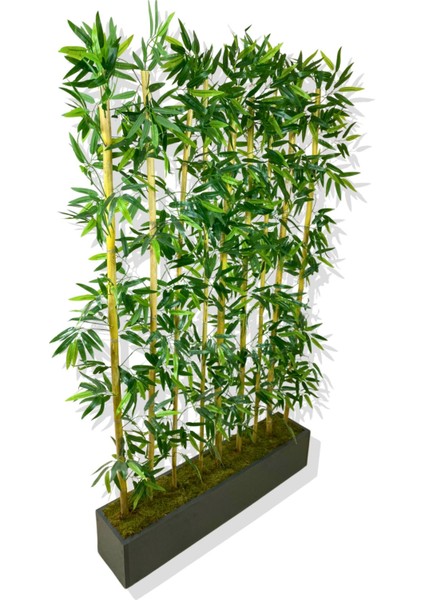 Bambu Seperatör 200 cm 9 Adet Bambu 100 cm Antrasit Saksı modelleri