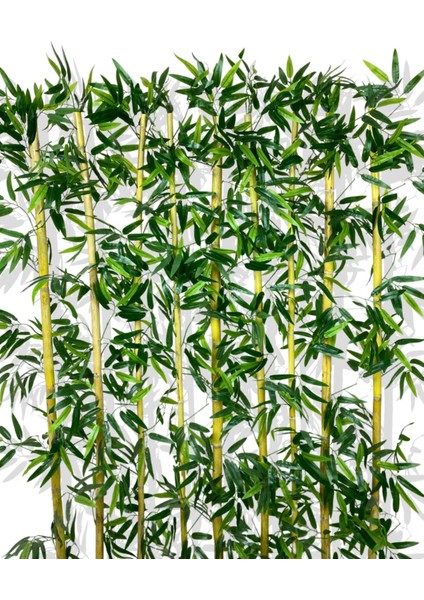 Bambu Seperatör 200 cm 9 Adet Bambu 100 cm Antrasit Saksı indirimleri